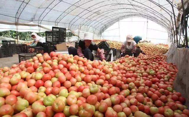 整頓大棚房成了一刀切的代名詞，斷水?dāng)嚯姶u瓦不留，拆成了荒蕪！