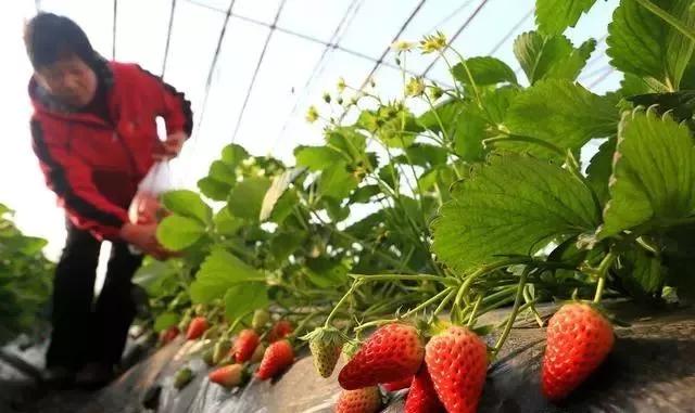 整頓大棚房成了一刀切的代名詞，斷水?dāng)嚯姶u瓦不留，拆成了荒蕪！