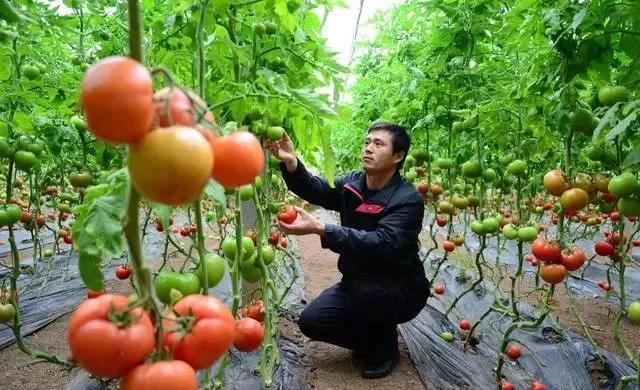 整頓大棚房成了一刀切的代名詞，斷水?dāng)嚯姶u瓦不留，拆成了荒蕪！